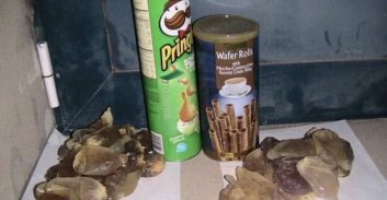 מעבדה לקוקאין נוזלי ברמת אביב ג'