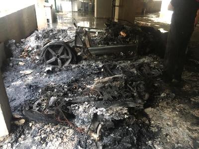 corvette hatzata herzelia