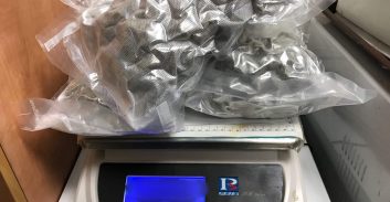 הטיול בפארק הסתיים בהרשעה בהחזקת סם