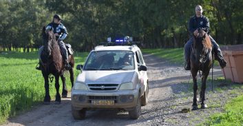 מבצע תנועה ארצי: 116 פסילות רישיון, יותר מ-3,700 דוחות