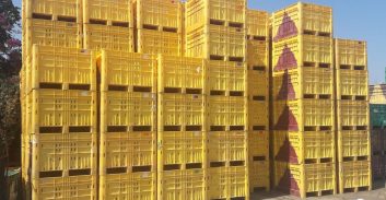 דולבים גנובים לאחסון אבטיחים נמצאו על ידי המשטרה בשוק בעראבה