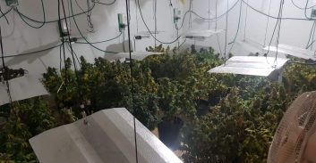 משטרת ירושלים חשפה שלוש מעבדות הידרו ברחבי הארץ