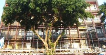 הסדר טיעון ללא מאסר לארבעה נאשמים בתיק תחנת הסמים בדיזנגוף