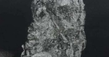 הוד השרון: צעיר נאשם בעשרות עסקאות קנאביס באמצעות הטלגרם