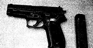 שלוש מעבדות הידרו, שני אקדחים, 30 חודשי מאסר