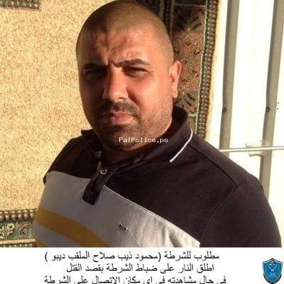 dib dibo tzalach 400 400