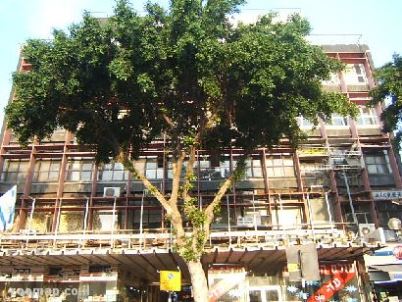 dizingof 101 402 302