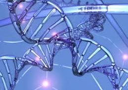 פרויקט החפות הישראלי. יהיה או לא, ולמה זה טוב?