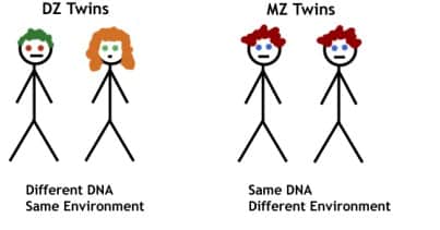 dna twins 2