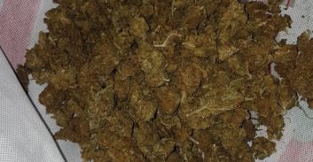 אסיר משוחרר ואחותו חשודים בהחזקת שלושה ק"ג קנאביס