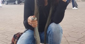 לימור רוט חזן עושה את מרוקו