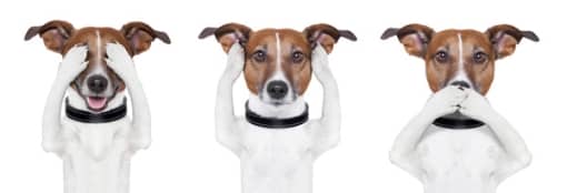 כלבים אילוסטרציה Depositphotos