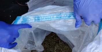 חשד: החזיק 500 בולי LSD ו-1.5 ק"ג חשיש ומריחואנה