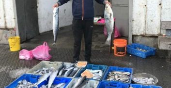 השופט פסל מידע מודיעיני: יו"ר ועד הדייגים ביפו מתאים לעבודות שירות