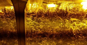 מעבדת "הידרו" אותרה בעפולה – שניים נעצרו