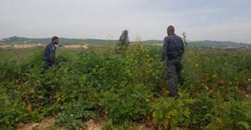 המשטרה מחפשת חשודים בפריצה לעיריית מגדל העמק