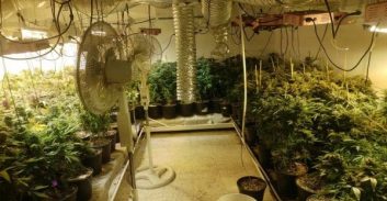 אישום: 140 ק"ג קנאביס ביחידת דיור בקריית יערים