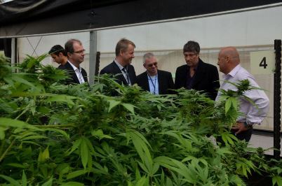 ein iron barak group