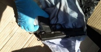 מגיפת האמל"ח נמשכת