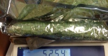 5 ק"ג אקסטזי נתפסו במכס, 2 חשודים נעצרו