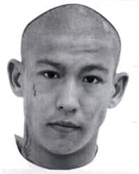 elayev amnon 200 - 250