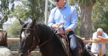 סוסים כחול לבן