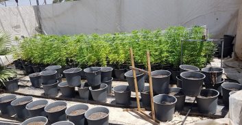 אישום: הפעיל מעבדת הידרו בשטח חקלאי בשרון