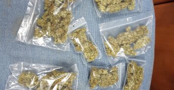 מכר סמים לקטינים, ושוחרר למעצר בית