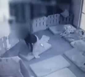 מטפלת מכה בפעוטון