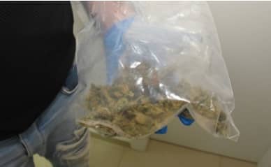 סמים מריחואנה