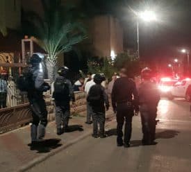 כוחות משטרה מגזר