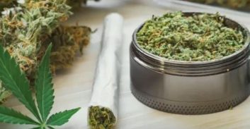 עו"ד יפעת כץ על עבירות סמים וחיפוש לא חוקי