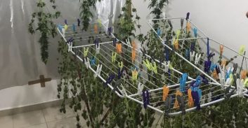 ר"ג: 4.7 ק"ג מריחואנה על מתלה כביסה באמבטיה