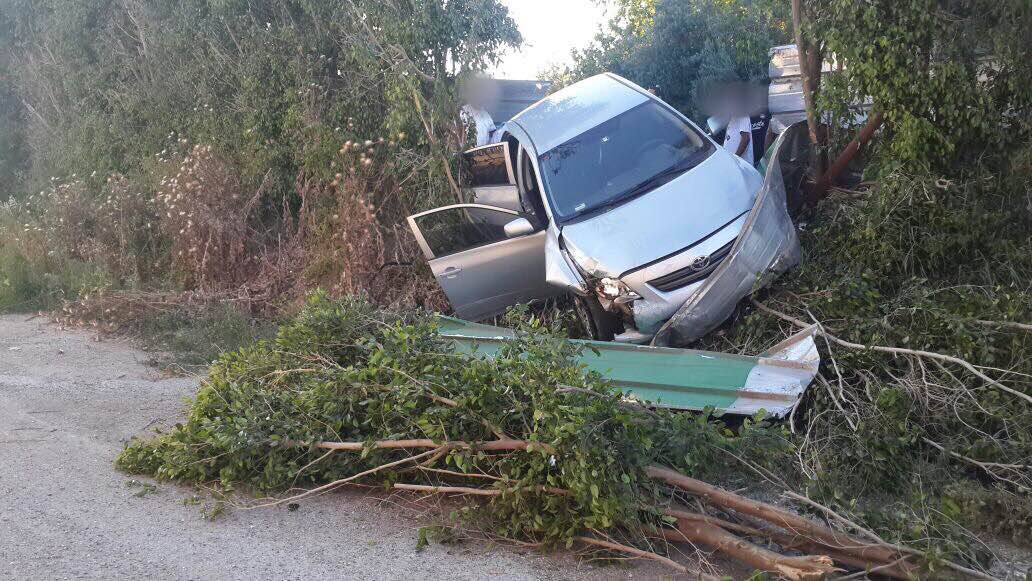 falestinim teuna atzmit