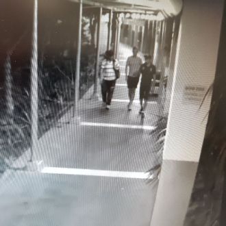 ganavim mehonot shtia