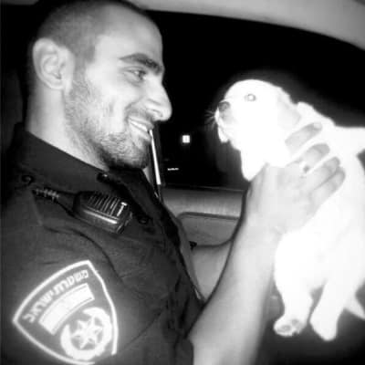 giat dror cat 400 400