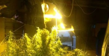 החקלאות החדשה באם המושבות