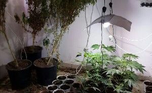 מעבדה לדוגמה