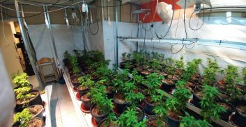 חממת הידרו נחשפה בהוד השרון