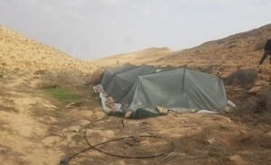 נגב: חממת מריחואנה נחשפה בשטח אש