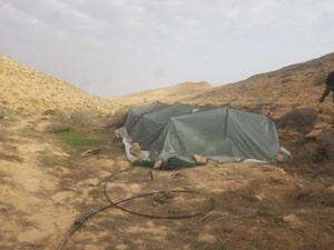 hamama marichuana negev2