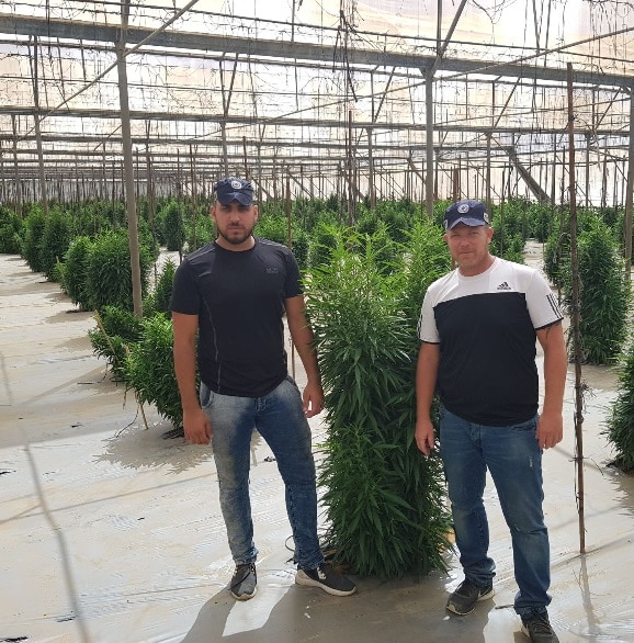 hamama sharabi darom