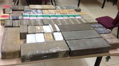 hashis 100 kg 13-11-13 - 400