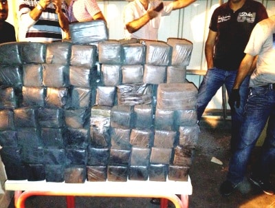 hashis nitzana 10-2013