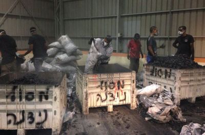 hashis nitzana 2 10-2013