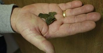 עבודות של"צ ללא הרשעה לצעיר שהחזיק 50 גרם חשיש