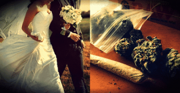 הג'וינטים לאורחים