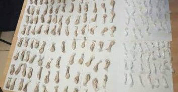 ת"א: שוטרי מג"ב מצאו הרואין וקריסטל במבנה נטוש