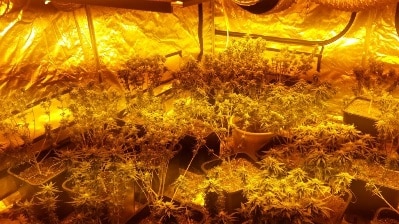 hidro bat yam hayalim1