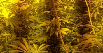 חיפה: מעבדת הידרו בהדר הכרמל